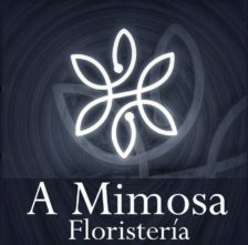 Floristeria A Mimosa
